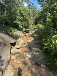 พิกัดเดินป่า ทางเข้าไปชมน้ำตก อุทยานภูผายล สกลนคร