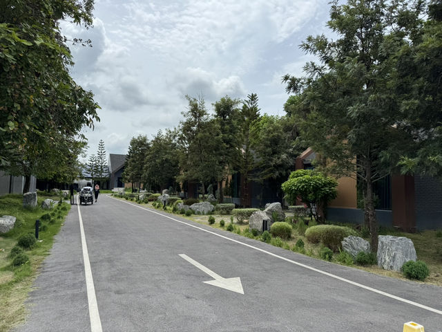 🛩️ คาเฟ่เครื่องบิน Seastars & forest Resort ☕️