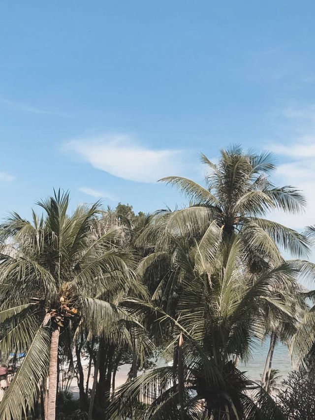 เช่ารถจี๊ปไปถ่ายรูปเล่นกับ Sichon Cabana