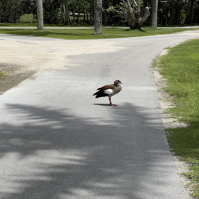 Fairchild Tropical Botanic Garden - Miami’s Lush Green Haven