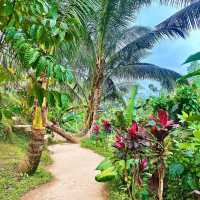 Bali, Indonesia: The Perfect Solo Escape