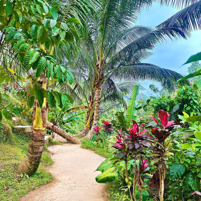 Bali, Indonesia: The Perfect Solo Escape