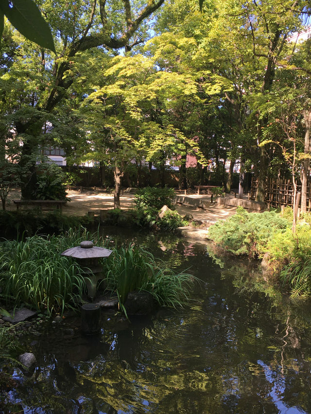 후쿠오카의 정원 🌳 라쿠스이엔