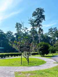 The Importance of Elephant Rescue at Elephant Sanctuary Kuala Gandah
