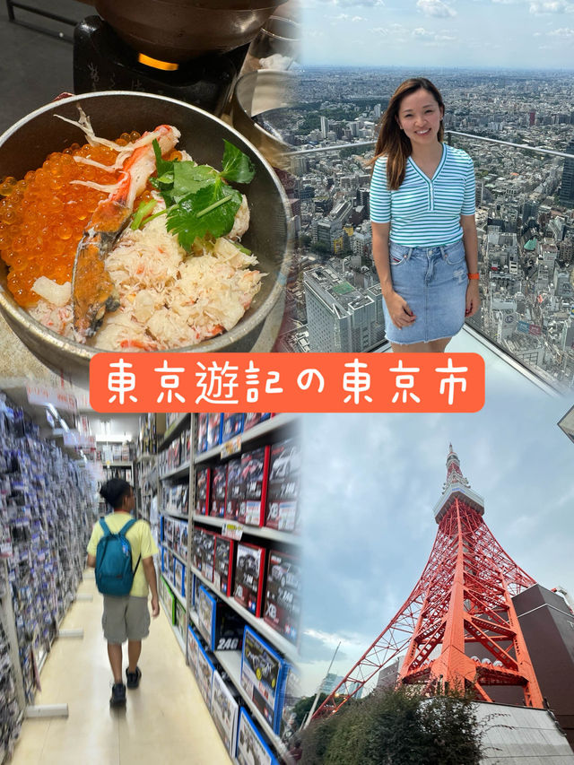 東京遊記の東京市