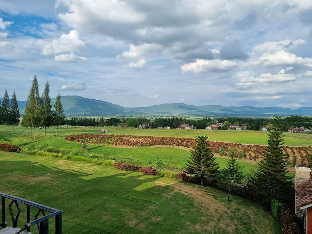🌳Movenpick Resort Khao Yai