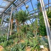 ～牛津大學哈考特植物園～增長植物知識好去處～