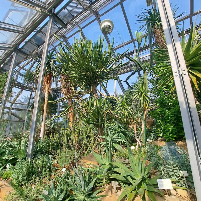 ～牛津大學哈考特植物園～增長植物知識好去處～