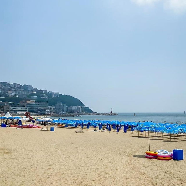 Beachside Bliss at Haeundae Beach in Busan