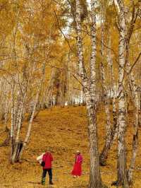 Autumn Journey to Hemu: Encountering First Snow on Yunxiao Peak