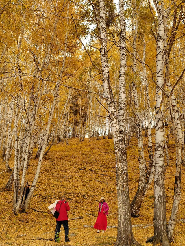 Autumn Journey to Hemu: Encountering First Snow on Yunxiao Peak