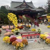 笠間稲荷神社！！
