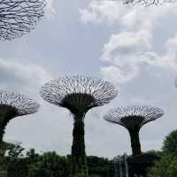 OCBC SKY WAY♪♪