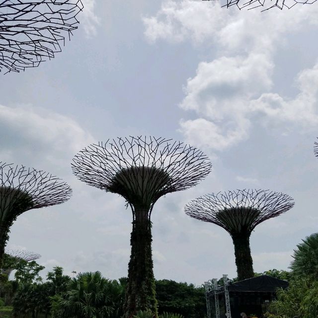 OCBC SKY WAY♪♪