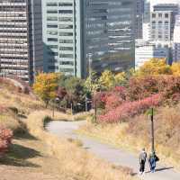 가을에 가볼만한곳 서울 백범광장