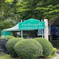 ปั่นจักรยานชมชมพูพันธุ์ทิพย์ 🚲 