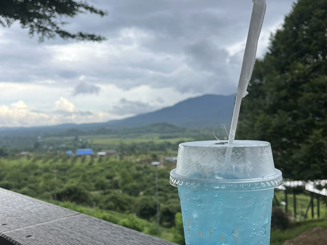 Catch the moon Camping & Cafe 🏕️☕️