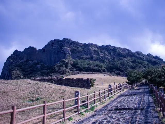 Finding the Perfect Sunrise Spot: From Jeju International Airport to Seongsan Ilchulbong