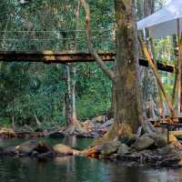 PHURI CAMP BEACH LIFE ⛺️🪵🌳💦