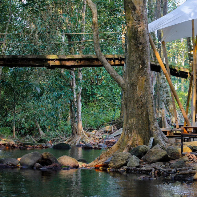 PHURI CAMP BEACH LIFE ⛺️🪵🌳💦