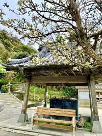 【千葉県】150段上から眺める絶景神社