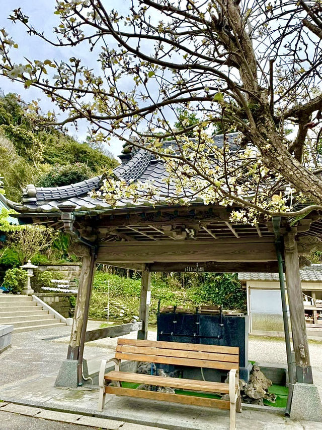 【千葉県】150段上から眺める絶景神社