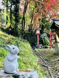 【京都府】パワフルな磐座が目前