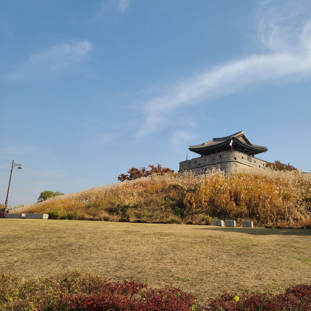 【韓国/水原】紅葉が映える秋の水原華城🍁