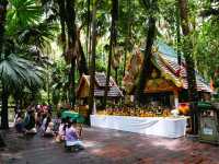 คำชะโนด แลนด์มาร์ค สายมู แดนอีสาน