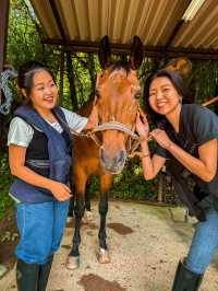 【岐阜】初心者でも◎ 大自然で乗馬体験しよう🐎