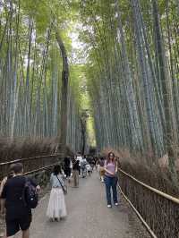 Arashiyama Bamboo Forest