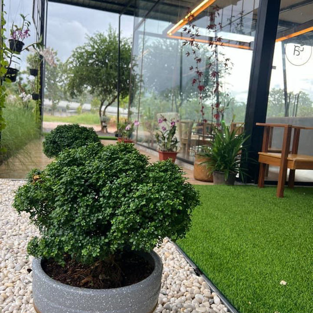 TOUCH Haus Coffee-ธัสเฮาส์ 