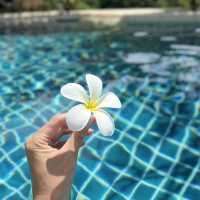 【タイ プーケット🇹🇭】のんびり過ごせる大型リゾートホテル