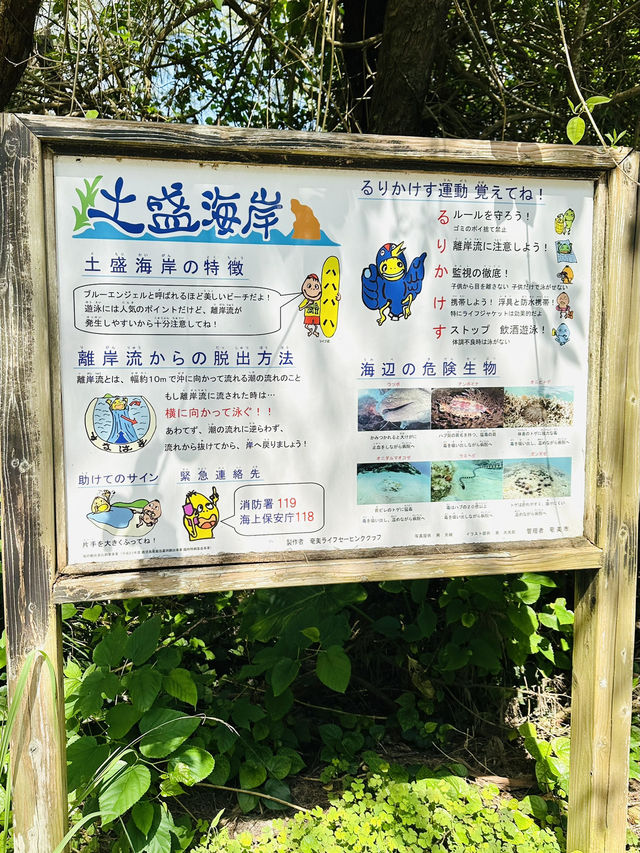 【奄美大島】土盛海岸