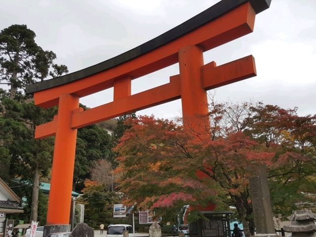 Fall colours at Yahiko Park, Niigata
