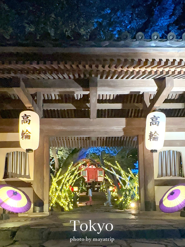 ゆったりとライトアップされてる日本庭園を散策【東京/品川】
