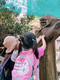 馬來西亞城市の農場像熱帶叢林，動物們像在比誰更可愛的動物園！