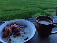 นาขั้นบันไดป่าบงเปียง เชียงใหม่🌾🌿