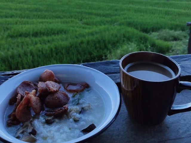 นาขั้นบันไดป่าบงเปียง เชียงใหม่🌾🌿