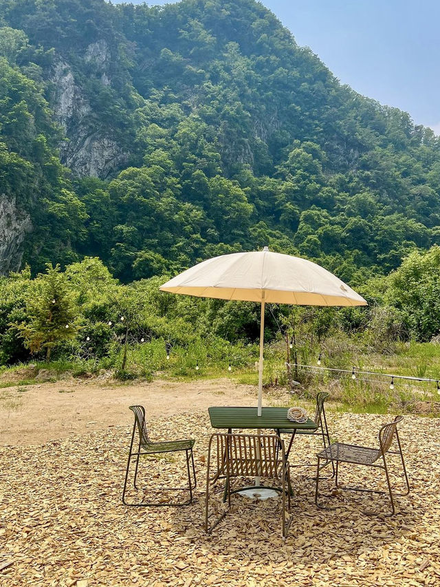 사계절 내내 예쁜 마운틴뷰 카페💚 ⠀