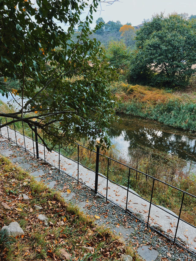 가을무드 제대로 즐기는 담양 당일치기 여행코스 🍂