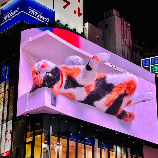 เดินเที่ยวชินจูกุ ดูไฟและแสงสีในยามค่ำคืน 