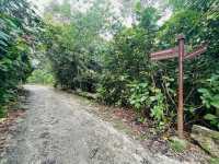 Tranquil Escape at Chestnut Nature Park