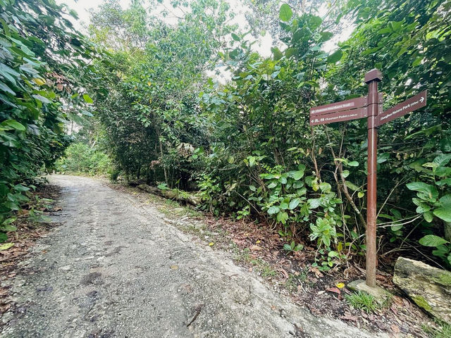 Tranquil Escape at Chestnut Nature Park