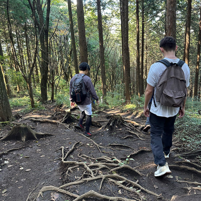 【東京】高尾山、陣馬山に登ろう