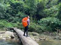 ประสบการณ์การเดินป่าใต้ | ระนอง🌳🏔️