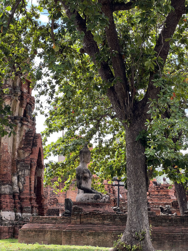📍 อยุธยา เมืองมรดกโลก ที่เที่ยวใกล้กรุงเทพฯ 🏛️