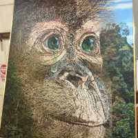 Spectacular Orang Utan 😍