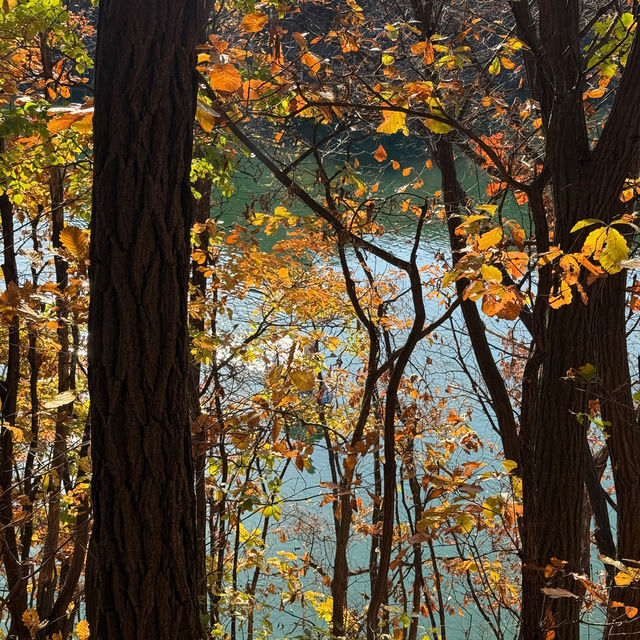 [포천] 고모리 산정호수공원에서 가을 산책🍁