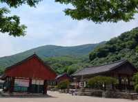 "가을 속 선운사, 고창에서 만난 고요한 여유"